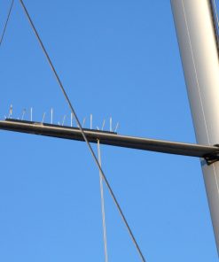 Möwenschutz für Saling