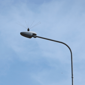 Nuestro producto ofrece una generosa área de protección de 50 cm de diámetro y es ideal para balcones, terrazas, lamparas y más.
