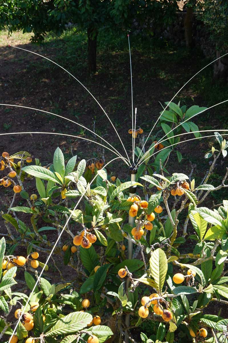 Bird Control for garden and balconies