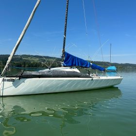Easy Boat Protection with SWI-TEC: Equip your boat with our seagull protection and enjoy an impeccable view. Simple installation, maximum cleanliness!