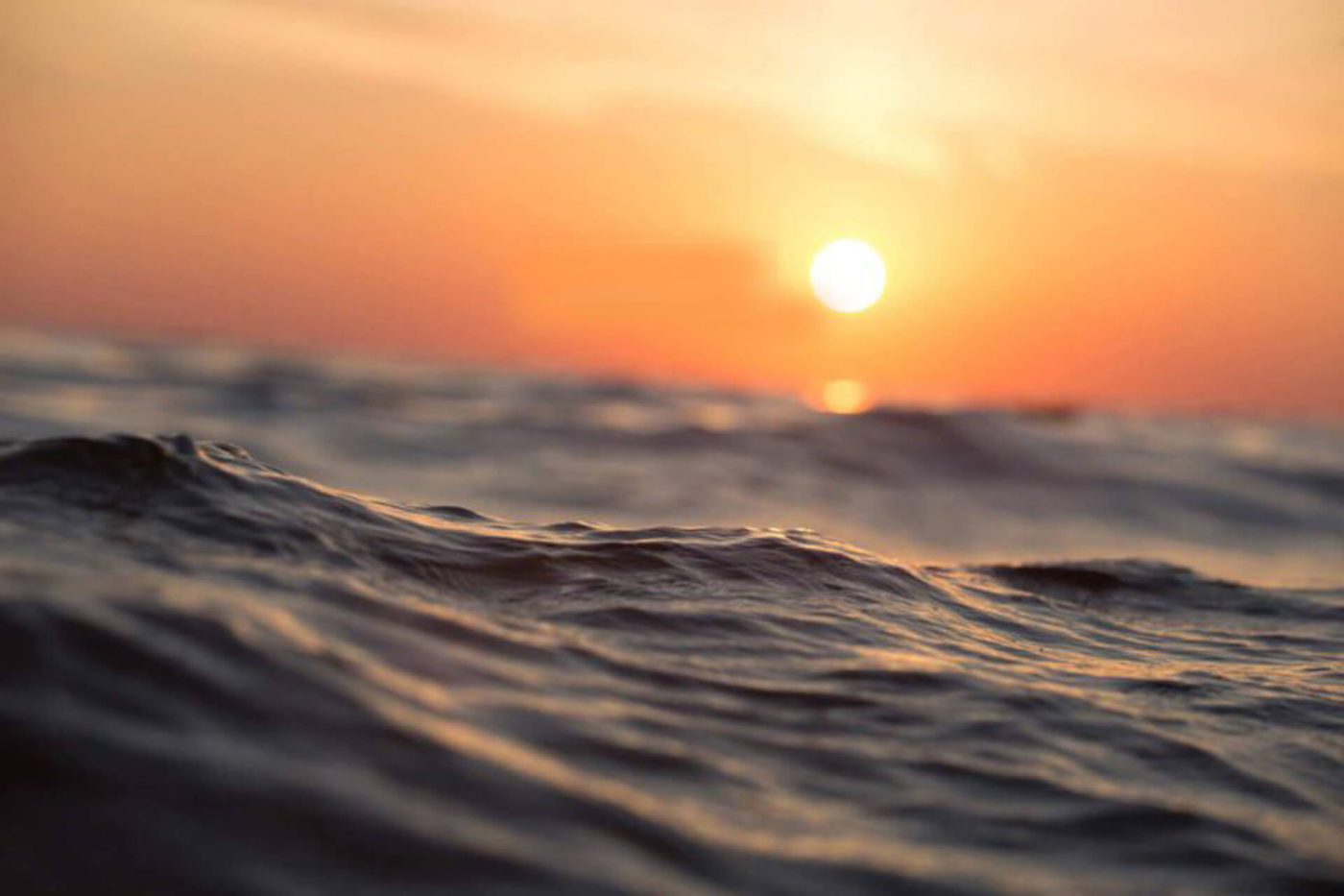 Boat Accessories Online Shop